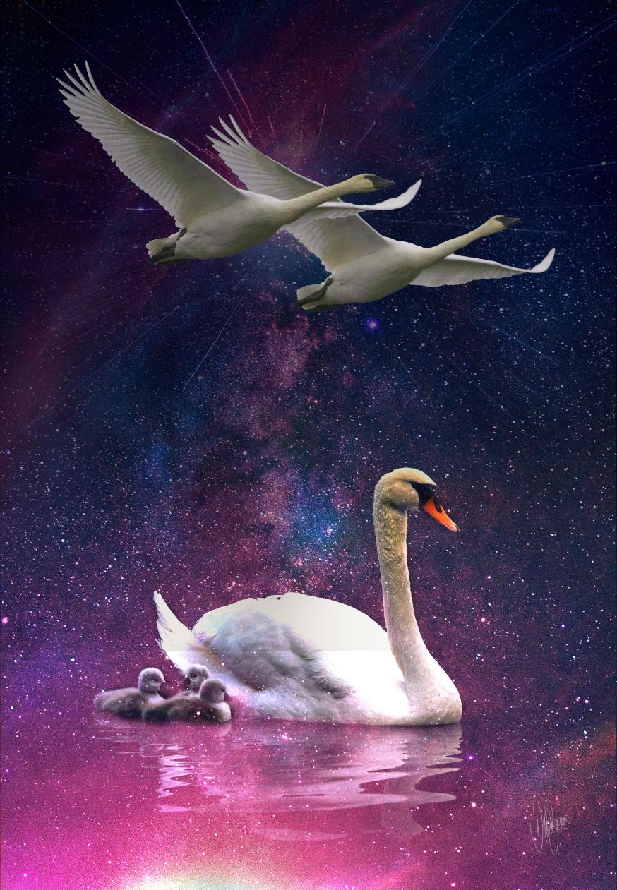 EL VUELO - La Pureza del Ser